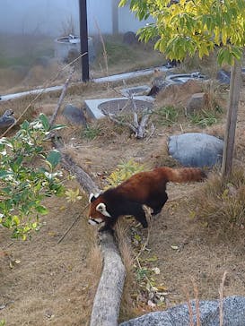名古屋市東山動植物園に投稿された画像（2023/12/27）
