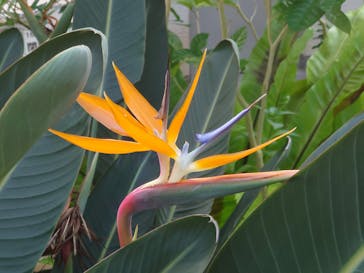 名古屋市東山動植物園に投稿された画像（2023/12/27）