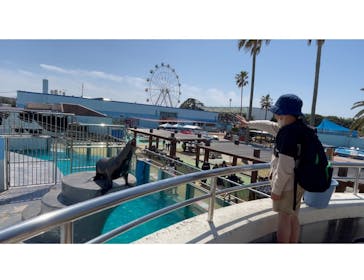 南知多ビーチランド＆南知多おもちゃ王国に投稿された画像（2023/12/27）