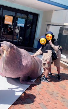 南知多ビーチランド＆南知多おもちゃ王国に投稿された画像（2023/12/27）