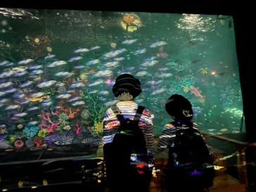 南知多ビーチランド＆南知多おもちゃ王国に投稿された画像（2023/12/27）