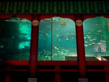 南知多ビーチランド＆南知多おもちゃ王国に投稿された画像（2023/12/27）