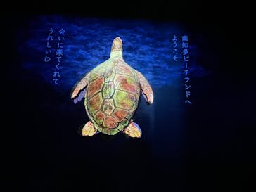 南知多ビーチランド＆南知多おもちゃ王国に投稿された画像（2023/12/27）