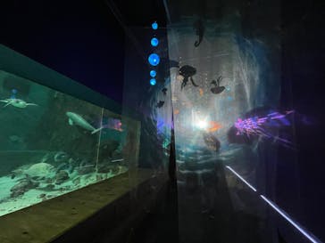 南知多ビーチランド＆南知多おもちゃ王国に投稿された画像（2023/12/27）