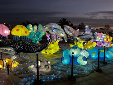 ラグーナテンボス ラグナシアに投稿された画像（2023/12/27）