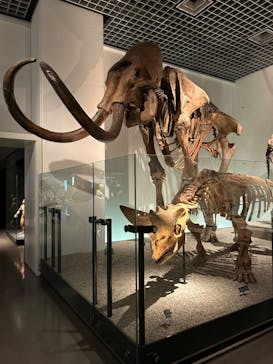 国立科学博物館に投稿された画像（2023/12/27）