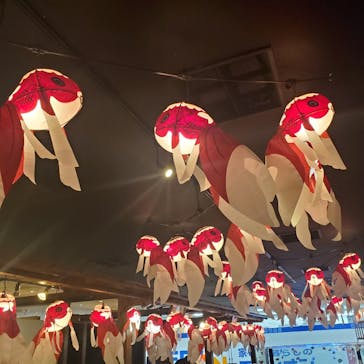 NARA KINGYO MUSEUMに投稿された画像（2023/12/27）