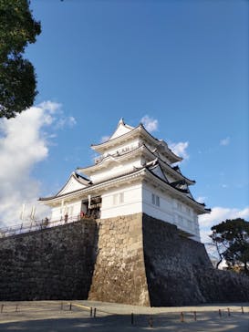 小田原城に投稿された画像（2023/12/27）