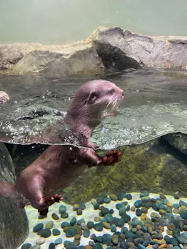 マクセル アクアパーク品川に投稿された画像（2023/12/27）