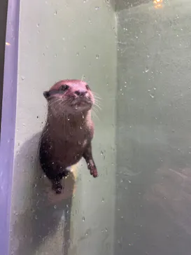 マクセル アクアパーク品川に投稿された画像（2023/12/27）