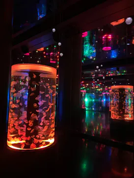 マクセル アクアパーク品川に投稿された画像（2023/12/27）