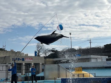 越前松島水族館に投稿された画像（2023/12/27）
