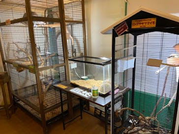 アソビュー！ポイントに投稿された画像（2023/12/27）