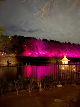 ムーミンバレーパークに投稿された画像（2023/12/27）