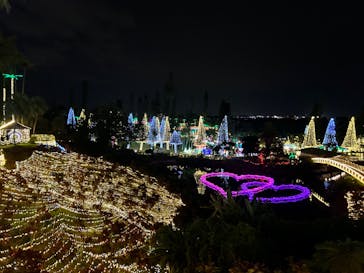 美らヤシパークオキナワ・東南植物楽園に投稿された画像（2023/12/27）