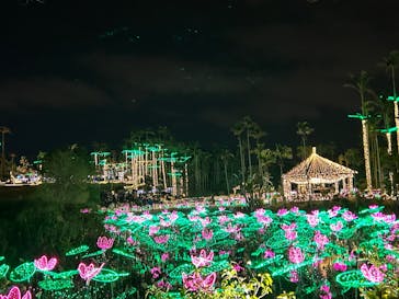 美らヤシパークオキナワ・東南植物楽園に投稿された画像（2023/12/27）