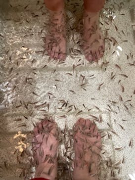 有馬温泉 太閤の湯に投稿された画像（2023/12/27）