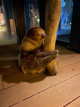 カワスイ 川崎⽔族館に投稿された画像（2023/12/27）