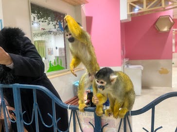 アニタッチアクアシティお台場に投稿された画像（2023/12/27）