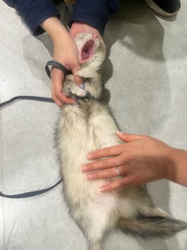 アニタッチアクアシティお台場に投稿された画像（2023/12/27）