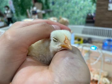 アニタッチアクアシティお台場に投稿された画像（2023/12/27）