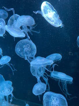 AOAO SAPPOROに投稿された画像（2023/12/27）