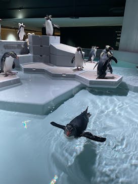 AOAO SAPPOROに投稿された画像（2023/12/27）