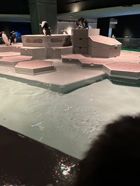 AOAO SAPPOROに投稿された画像（2023/12/27）