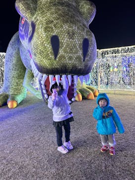 鹿児島イルミナージュに投稿された画像（2023/12/27）