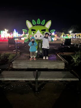 鹿児島イルミナージュに投稿された画像（2023/12/27）