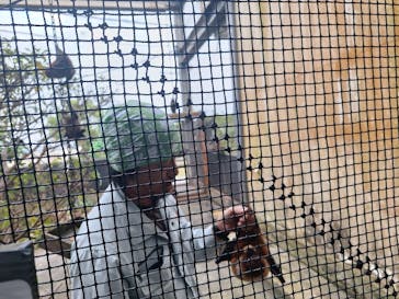 沖縄こどもの国に投稿された画像（2023/12/27）