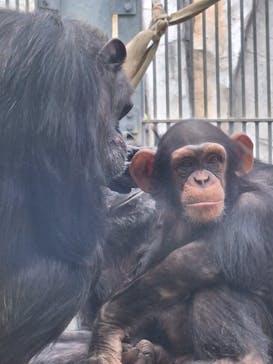 沖縄こどもの国に投稿された画像（2023/12/27）