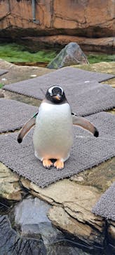 那須どうぶつ王国に投稿された画像（2023/12/28）