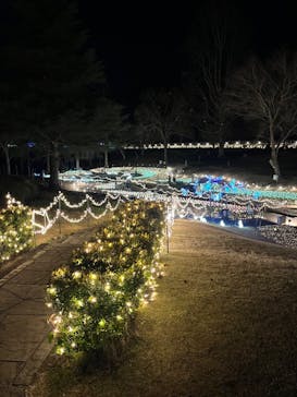 修善寺虹の郷に投稿された画像（2023/12/28）