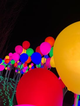 修善寺虹の郷に投稿された画像（2023/12/28）