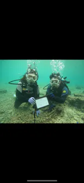 武藤潜水に投稿された画像（2023/12/28）