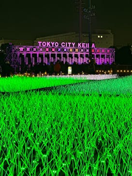 東京メガイルミに投稿された画像（2023/12/28）