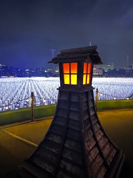 東京メガイルミに投稿された画像（2023/12/28）