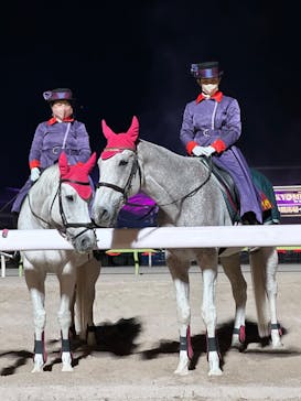 東京メガイルミに投稿された画像（2023/12/28）