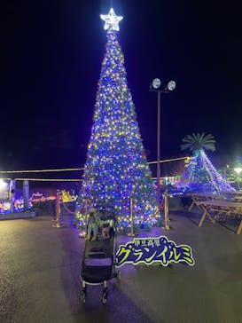 伊豆ぐらんぱる公園に投稿された画像（2023/12/28）