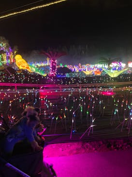 伊豆ぐらんぱる公園に投稿された画像（2023/12/28）