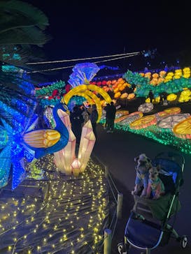 伊豆ぐらんぱる公園に投稿された画像（2023/12/28）