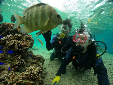 武藤潜水に投稿された画像（2023/12/28）