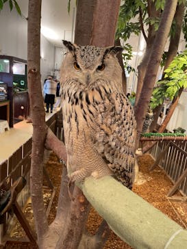 Moff animal cafe イオンモール幕張新都心店に投稿された画像（2023/12/28）