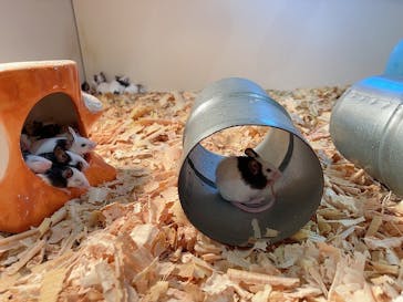 アニタッチアクアシティお台場に投稿された画像（2023/12/28）