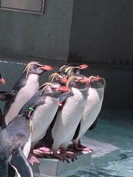 AOAO SAPPOROに投稿された画像（2023/12/28）