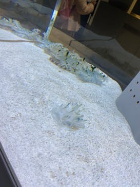 AOAO SAPPOROに投稿された画像（2023/12/28）