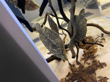 AOAO SAPPOROに投稿された画像（2023/12/28）