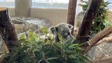 横浜市立金沢動物園に投稿された画像（2023/12/28）