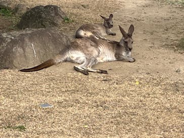 横浜市立金沢動物園に投稿された画像（2023/12/28）